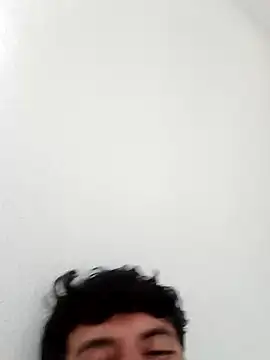 Carvalhodan webcam