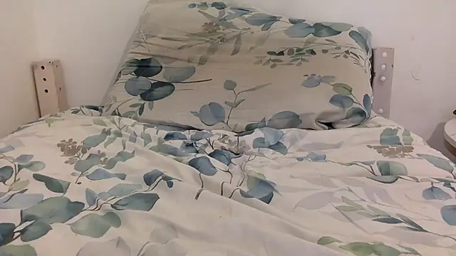 nass755 webcam