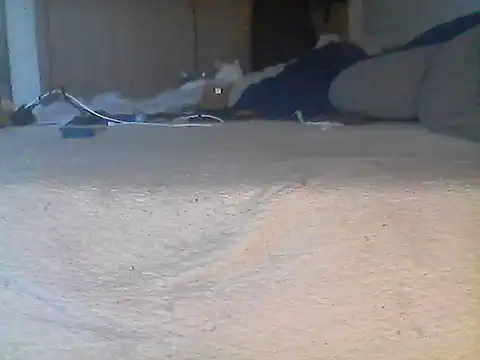 Silencio26 webcam