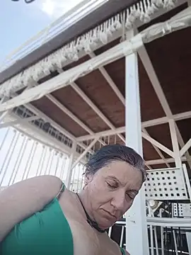 kotkite webcam