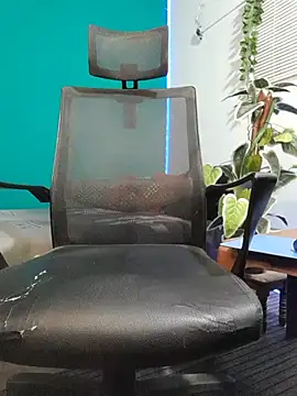 Rayansmith_ webcam