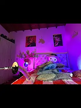 Naugth_channel_ts webcam
