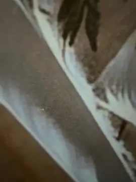 furkan7720 webcam