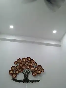 hottydisha webcam