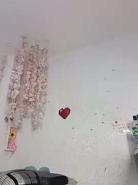 Kuutar webcam