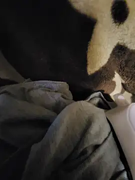 DaddycaneCB live sex cam