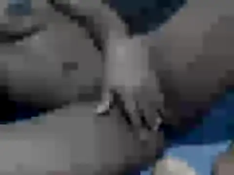 cocolicky webcam