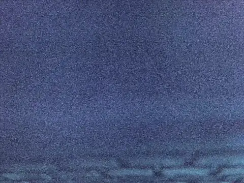 Sugarwhitney webcam