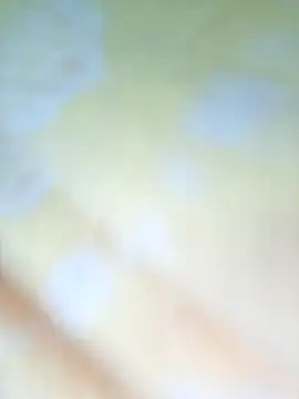 Priya_Bong webcam