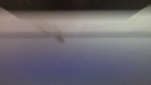 oktober1993 webcam