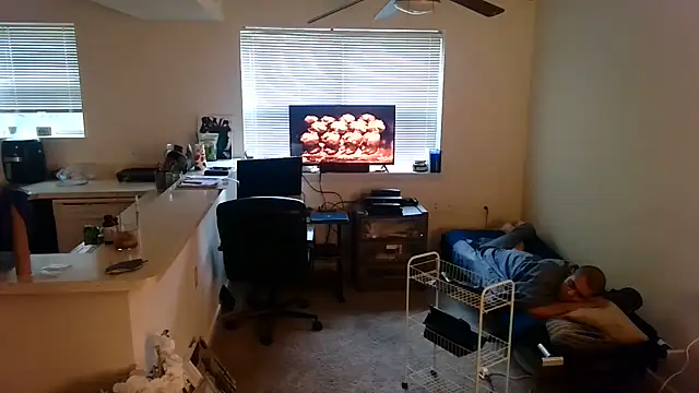 Q1357q webcam