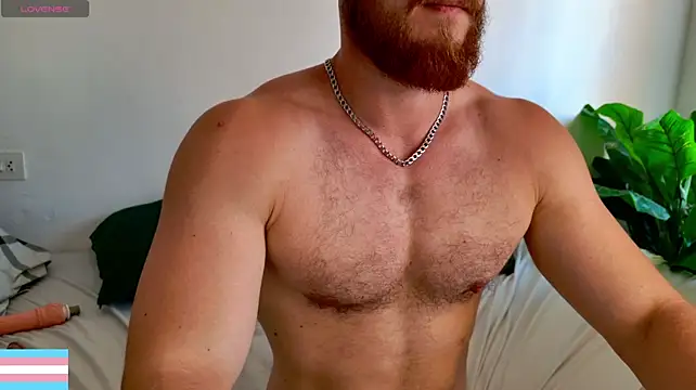 VictorTransMan webcam