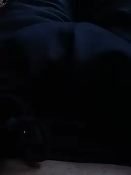 Smalldicknepa webcam