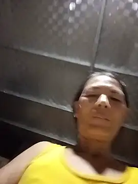 toyo_668 webcam