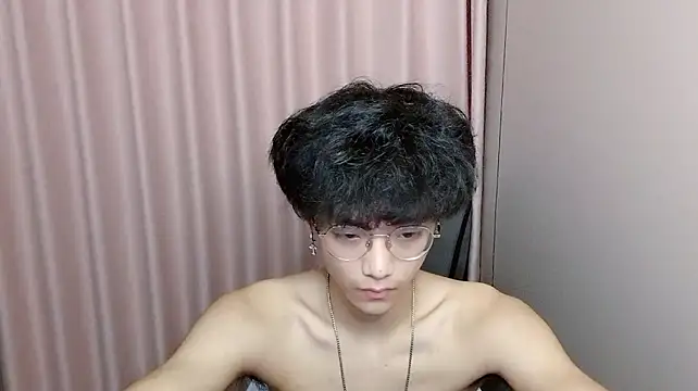 wssoo11 webcam