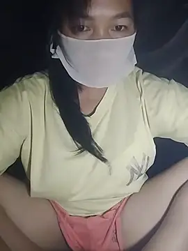 Hiha-nn webcam
