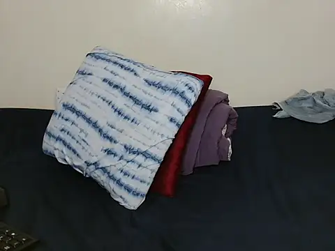 luzrem webcam