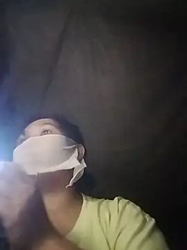 Hiha-nn webcam