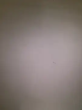 dalou3a22 webcam
