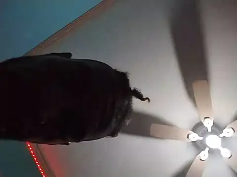 ReallyReallyReal webcam
