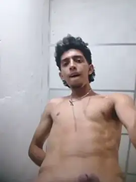 Noscay webcam