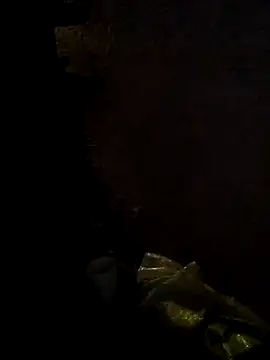 Wero4200 webcam