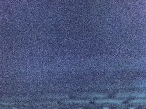 Sugarwhitney webcam