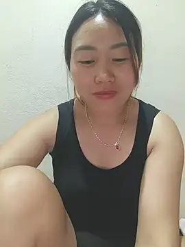 he-se-kin webcam