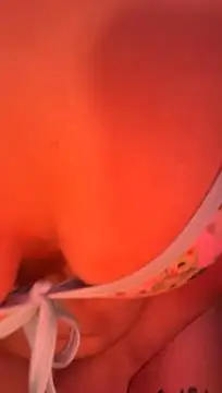 allpawgsgotoheaven webcam