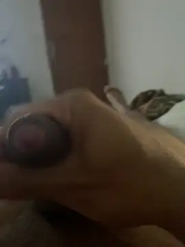 zecajuni