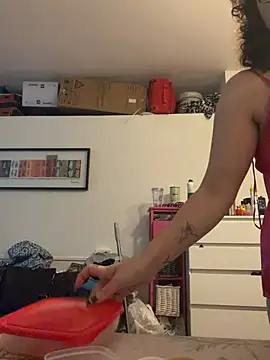ladyturtle webcam