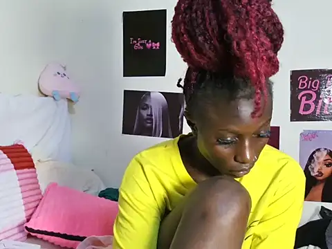 Aria_ah webcam