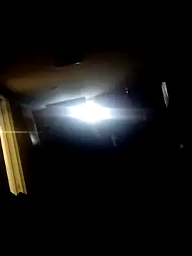 AceticPinscher webcam