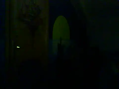 Dejanaceking webcam