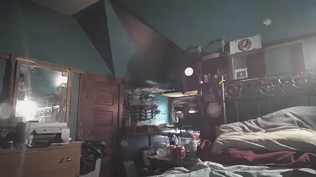 charactrzero webcam