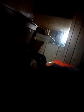 AceticPinscher webcam