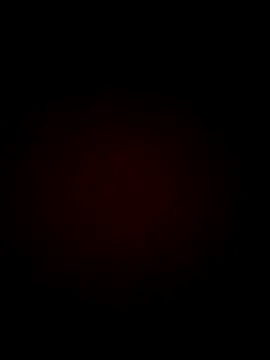 Tiomy99 webcam
