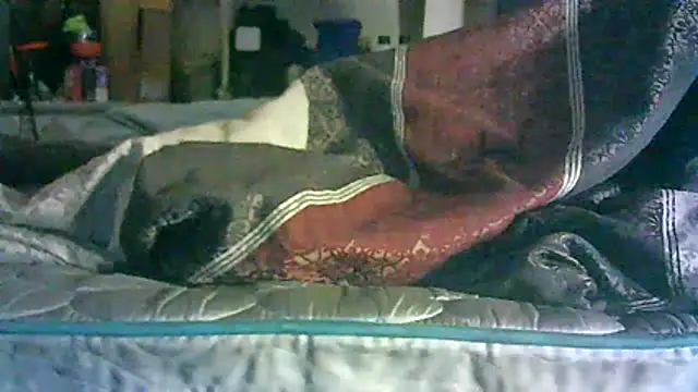CR3M3_FIR3 webcam
