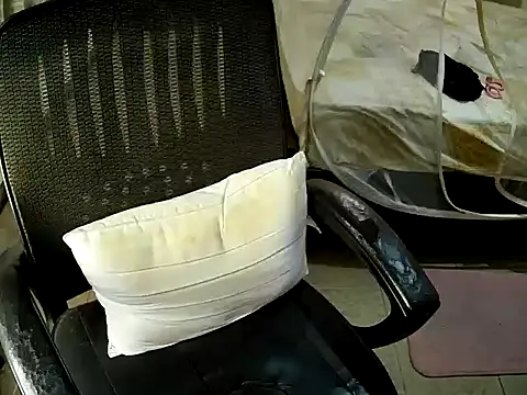 sissypamsissy webcam