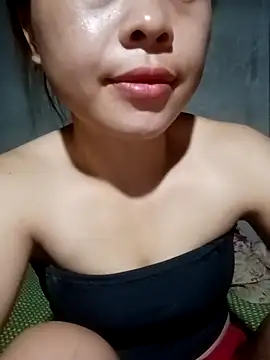 embe1144 webcam