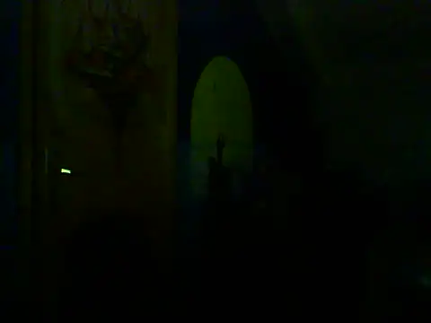 Dejanaceking webcam