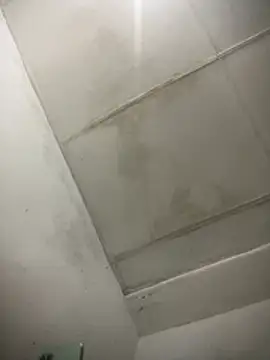 Thommy_sheldick webcam