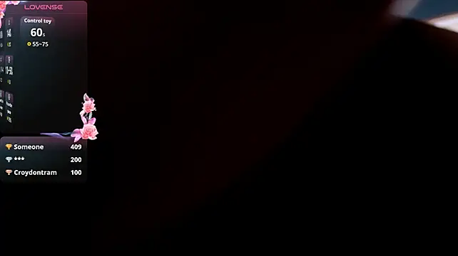 AssolMonet webcam