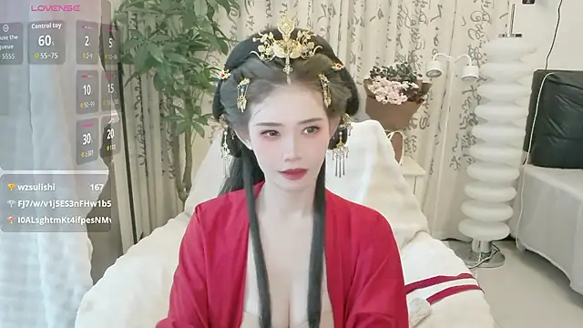 LIN-AN webcam
