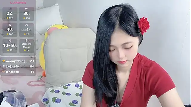 Noelle-2007 webcam