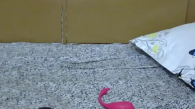 Creamygal2 webcam