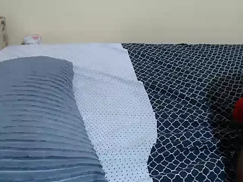 lynnsee webcam