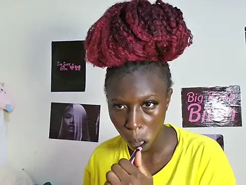 Aria_ah webcam