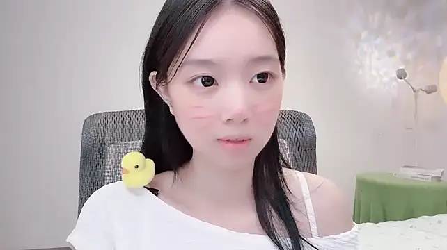 Yoyo33355 webcam