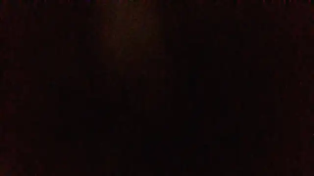 panda_06200 webcam